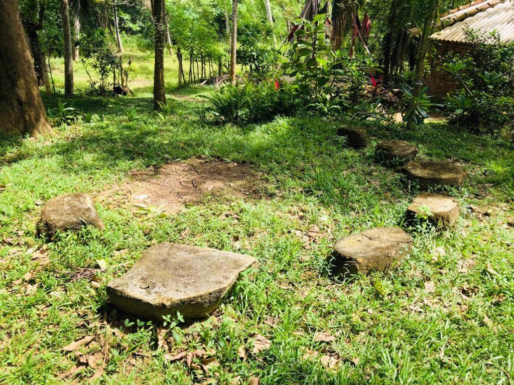 Hidden Well Hiriketiya Pansiyon Dikwella Dış mekan fotoğraf