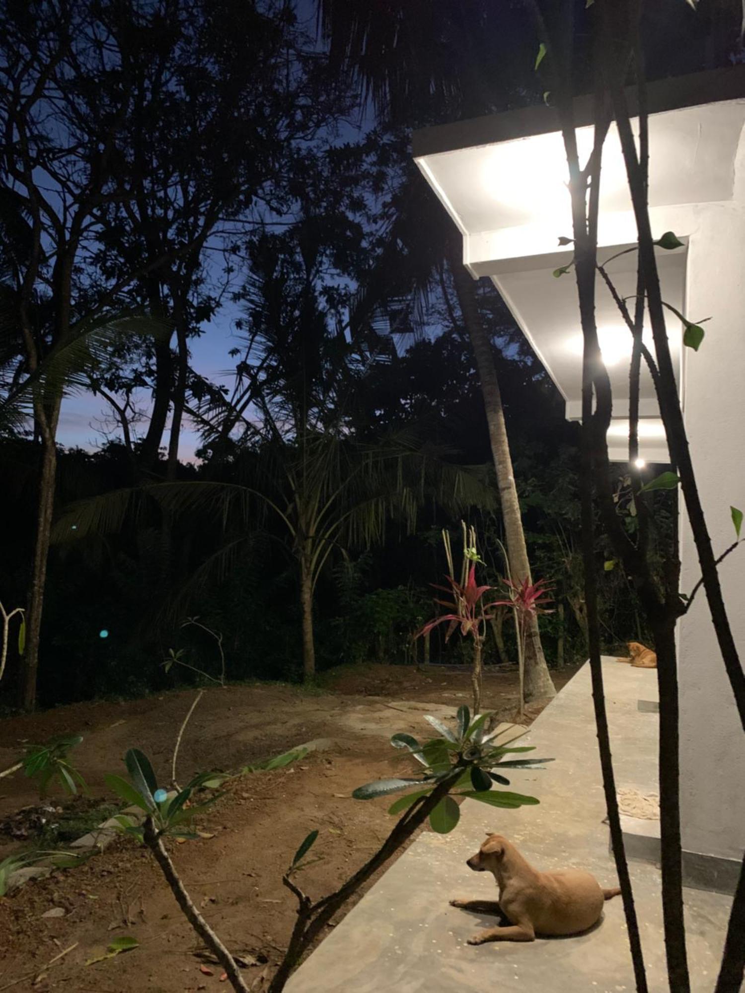 Hidden Well Hiriketiya Pansiyon Dikwella Dış mekan fotoğraf