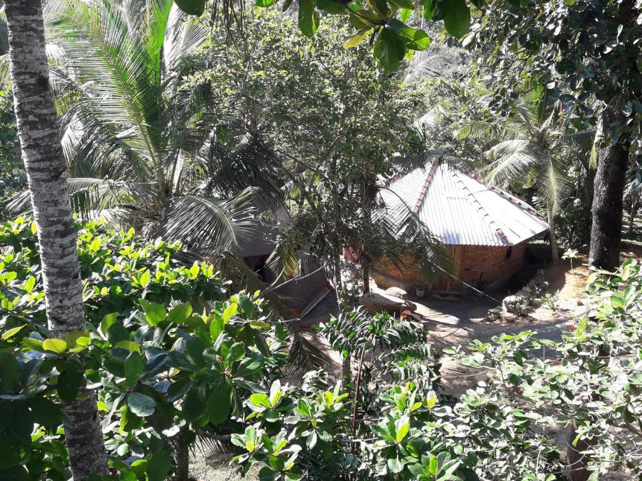 Hidden Well Hiriketiya Pansiyon Dikwella Dış mekan fotoğraf